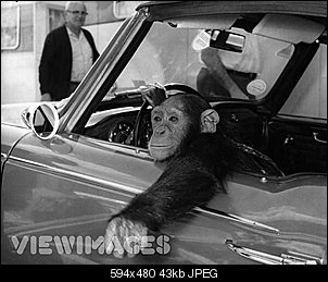 Click image for larger version

Name:	ChimpCar.jpg
Views:	146
Size:	42.6 KB
ID:	2572
